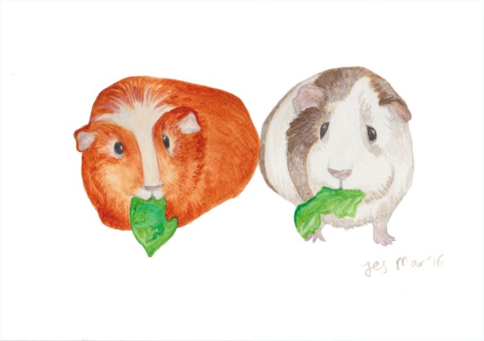 Ginger-and-Pepper-web