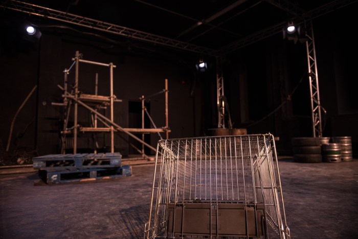 SquareFreedomPhotography-246